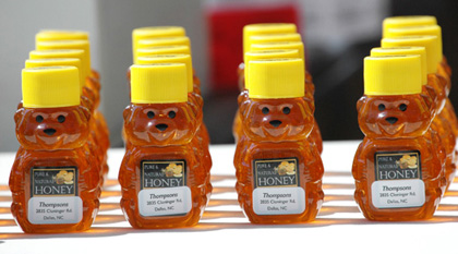 Honey Bears